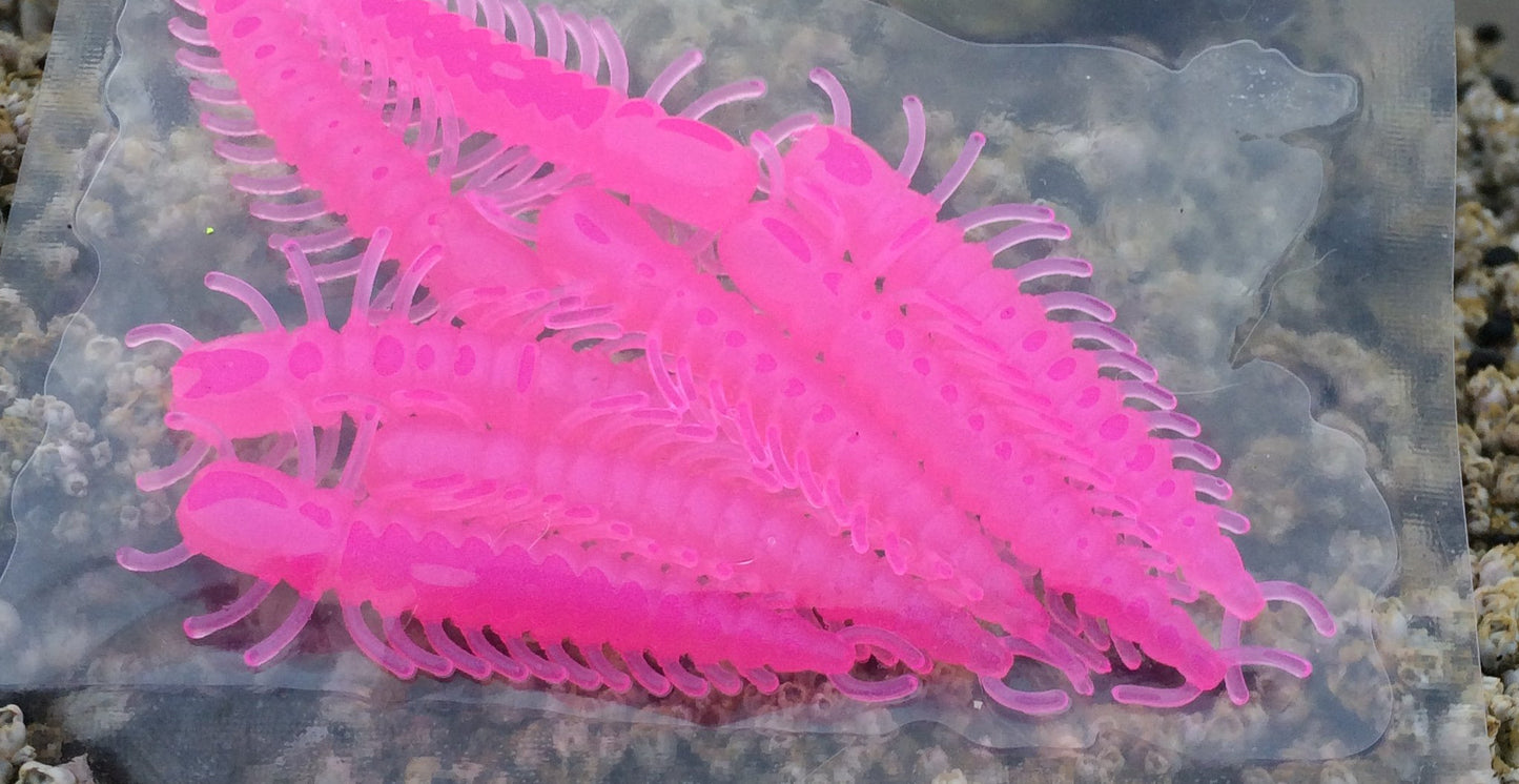 2" HOT PINK hellgrammites