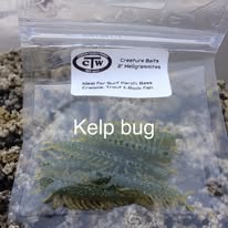 Kelp bug Hellgrammites 2"